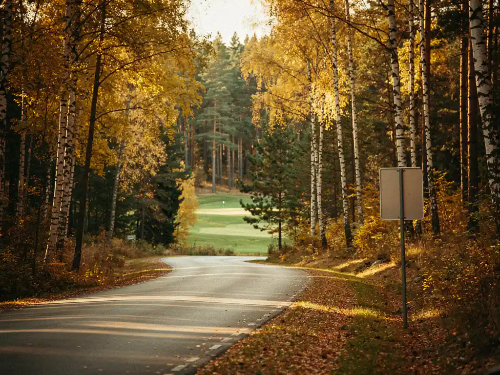 Virolainen syksyinen maantie koivumetsän läpi golfkentälle, lentokenttäkyltti tienvarressa, kultaiset ja vihreät sävyt iltapäivän valossa.